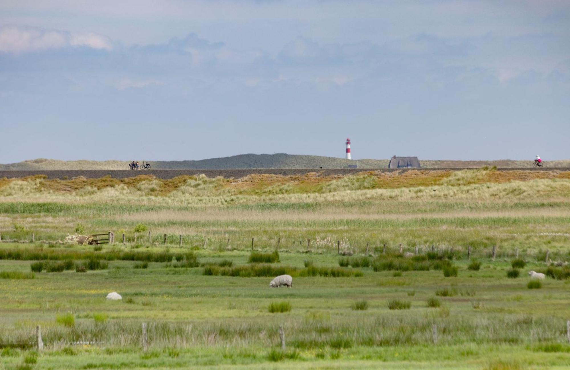 Westport Ferienhaus List auf Sylt